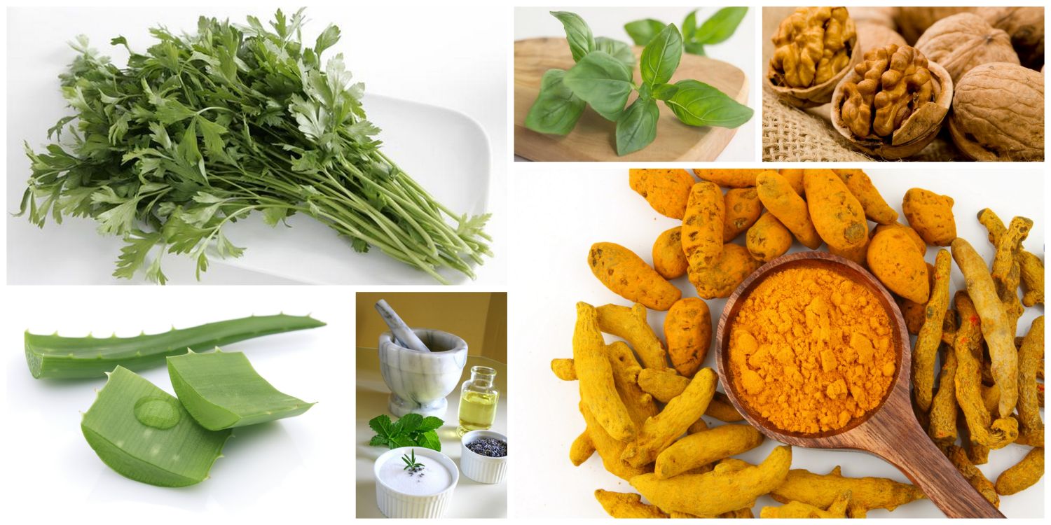 8 Medicinal Foods That Heal Your Body