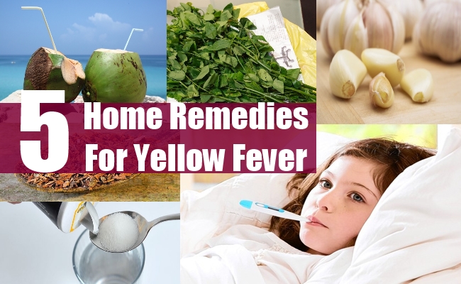 5 Natural Home Remedies For Yellow Fever