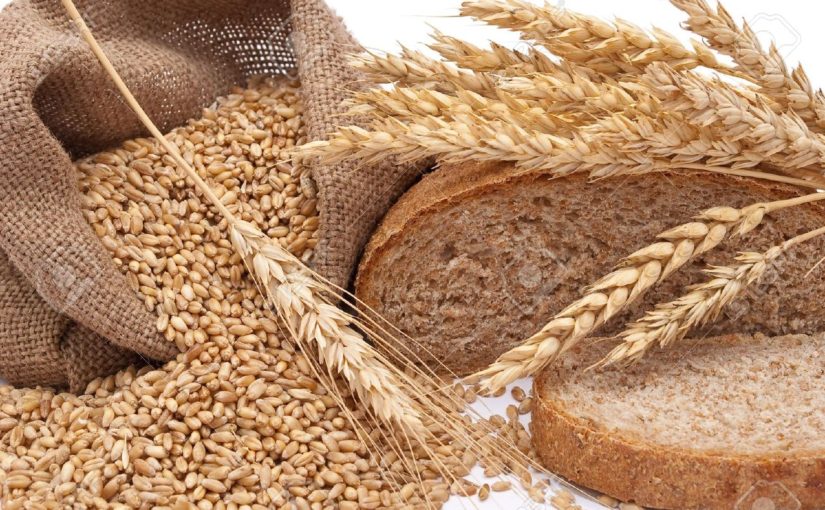 Wonderful Health Benefits of Wheat grains